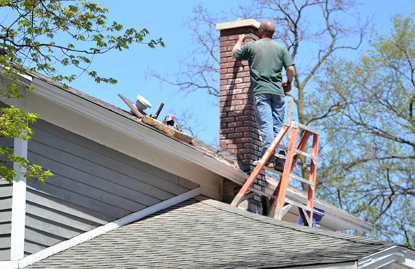 Chimney & Fireplace Inspections Services in Talladega, AL
